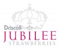Jubilee Strawberries