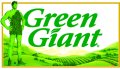 Green Giant