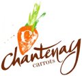 Chantenay carrots