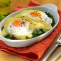 Poached eggs Florentine