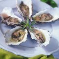 Champagne oysters