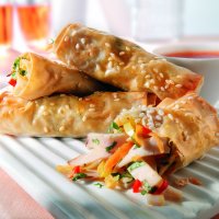 Oriental turkey spring rolls