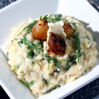 Italian shallot, gorgonzola & rocket risotto