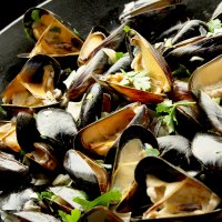 Mussel & shallot broth