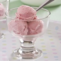 Cranberry & yoghurt ice