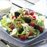 Blackberry, raspberry & fennel salad