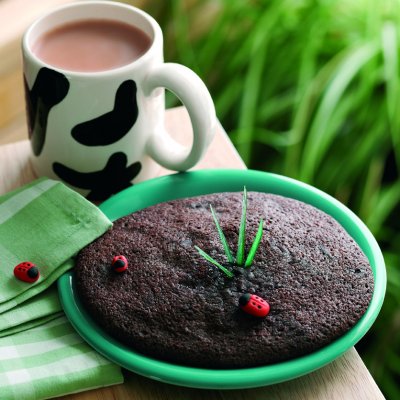 Chocolatey pat a cakes